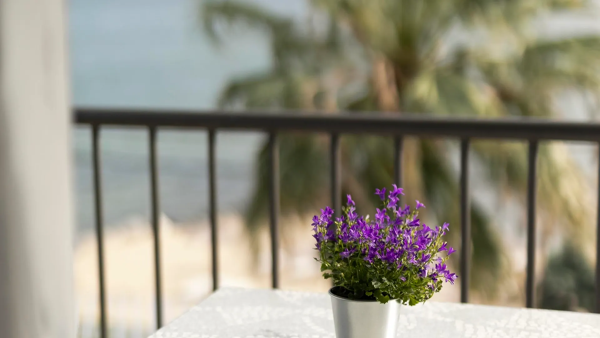 Calma Beach Hotel Stavros  Greece